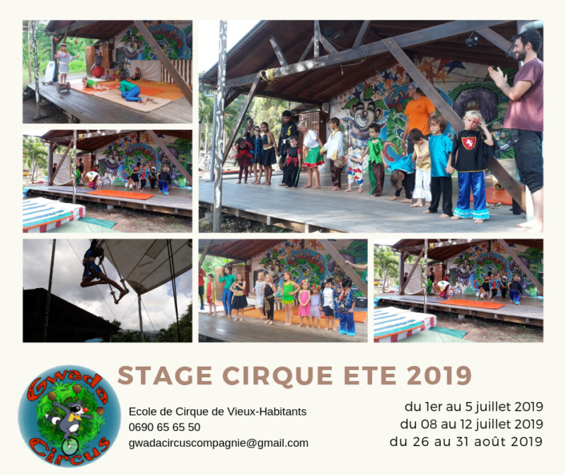 Stage de cirque été 2019