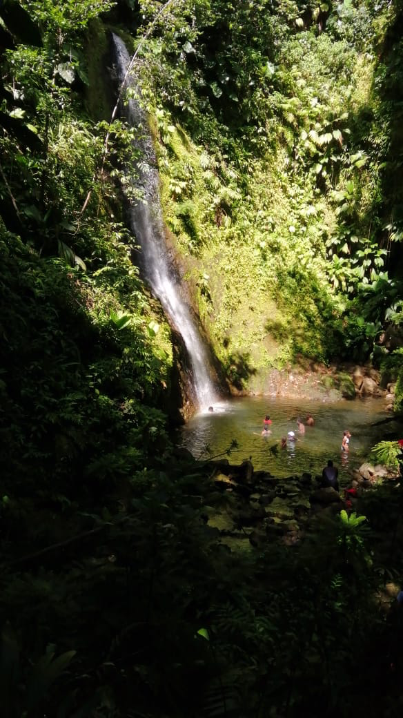 Un écrin vert, la cascade Bois Banane au Lamentin