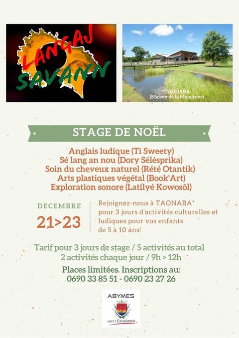 Stage de Noel – 5/10 ans – Abymes