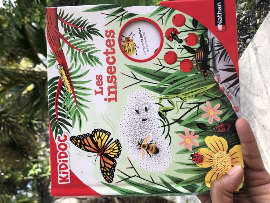 Les insectes –  Un livre animé pour les enfants curieux