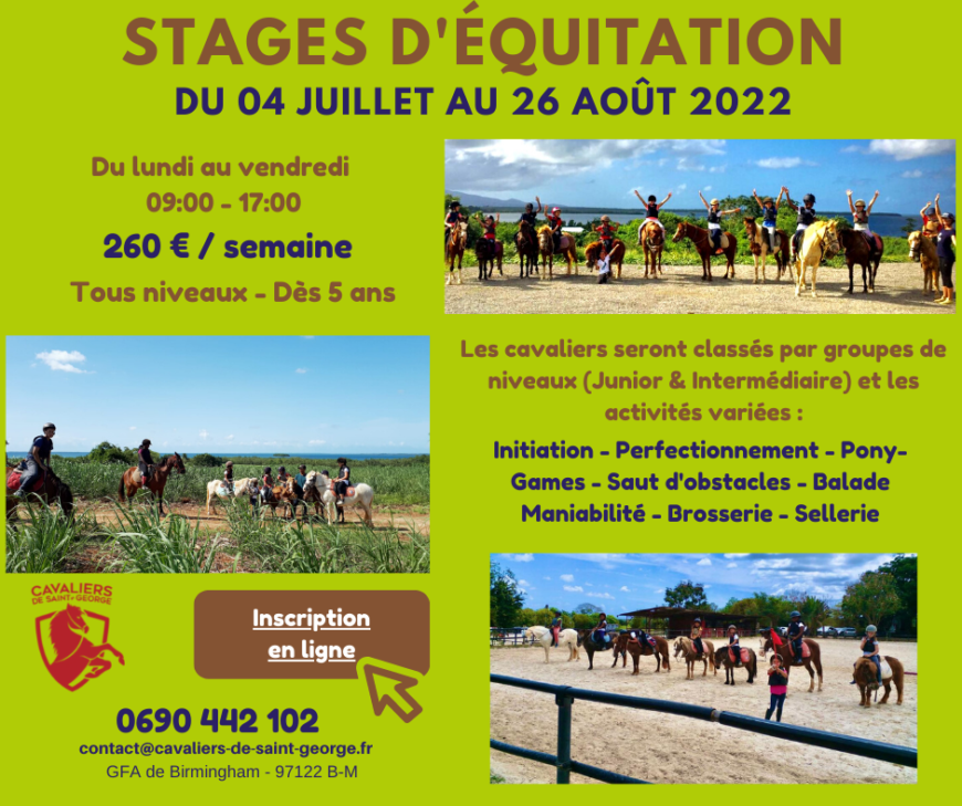 Juillet/Aout Stage d’équitation -Baie-Mahault