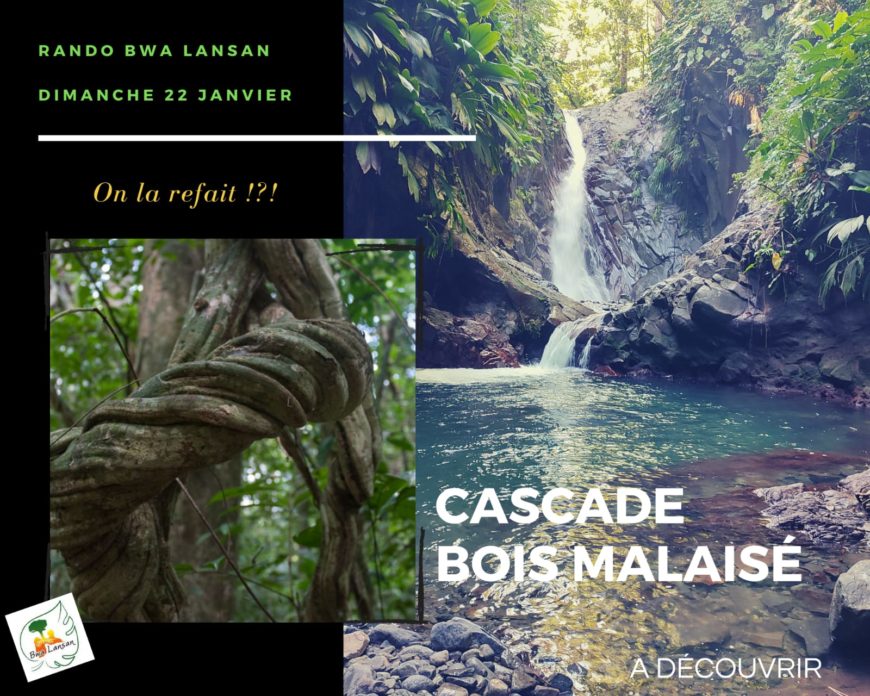 RANDONNÉE La Cascade Bois Malaisé Bouillante 🤗 A partir de 8 ans