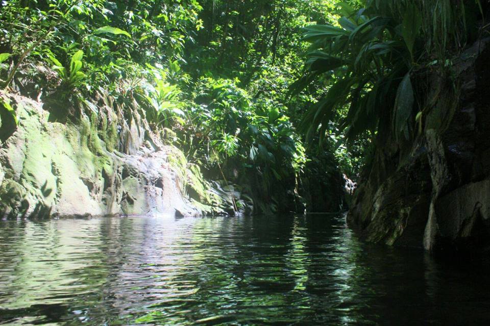 Les Gorges de Tambour 12ème – Petit-bourg