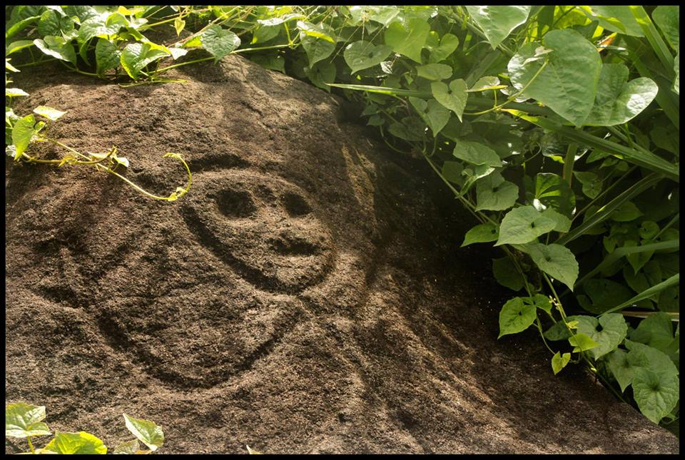 Une ballade contée des origines de la Guadeloupe avec un guide