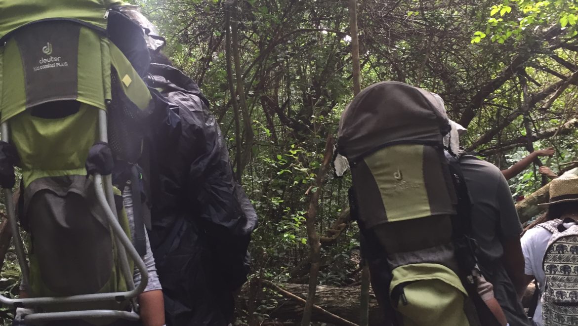 Retour sur la rando  » Dégoudi en ba Bwa »