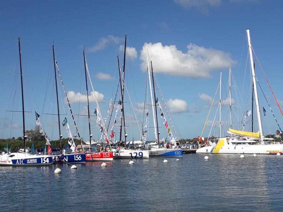 Les élèves et la Route du rhum – Ecole AMEDEE FENGAROL