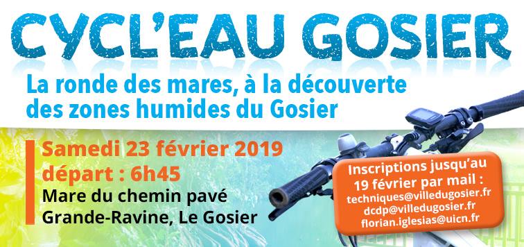 Cycl’Eau Gosier, à la découverte des zones humides du Gosier en