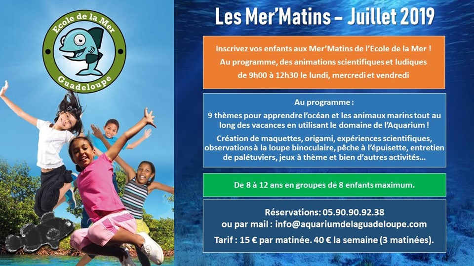 Les Mers Matins – 9 thèmes avec l’Ecole de la mer