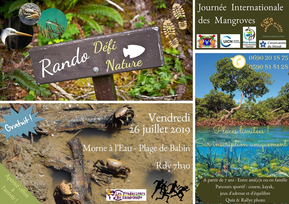 Rando défi nature le 26 juillet – plage de Babin Morne à l’Eau A partir de 7ans