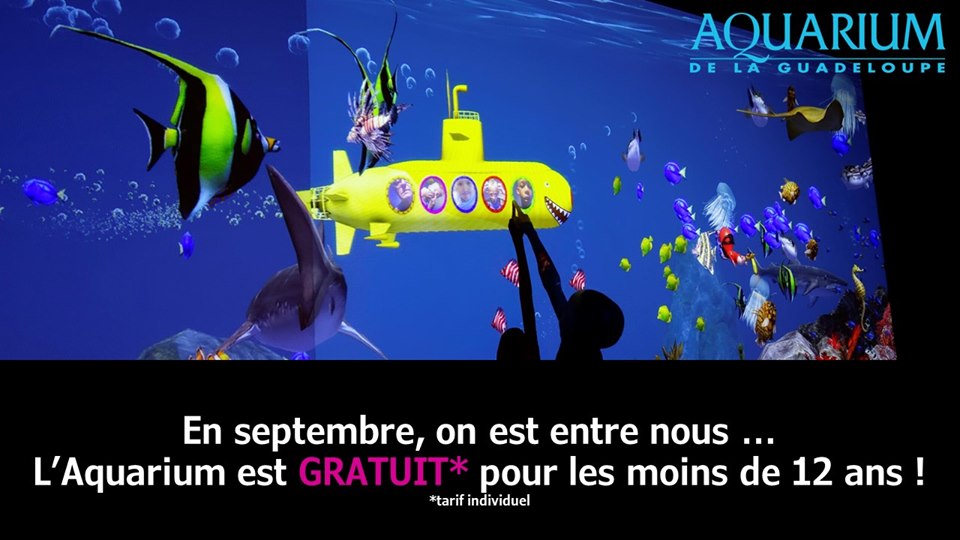 En septembre l’aquarium est gratuit pour les – de 12 ans