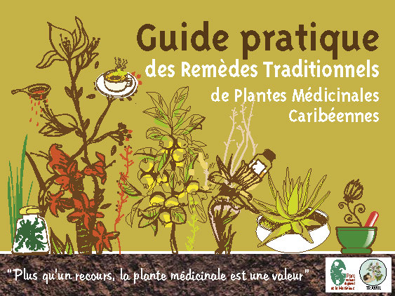 Guide pratique des Remèdes traditionnels de Plantes Médicinales Caribéennes