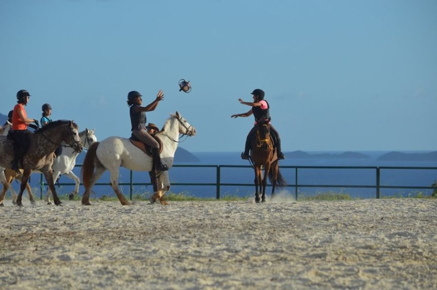 Stages vacances de la Toussaint