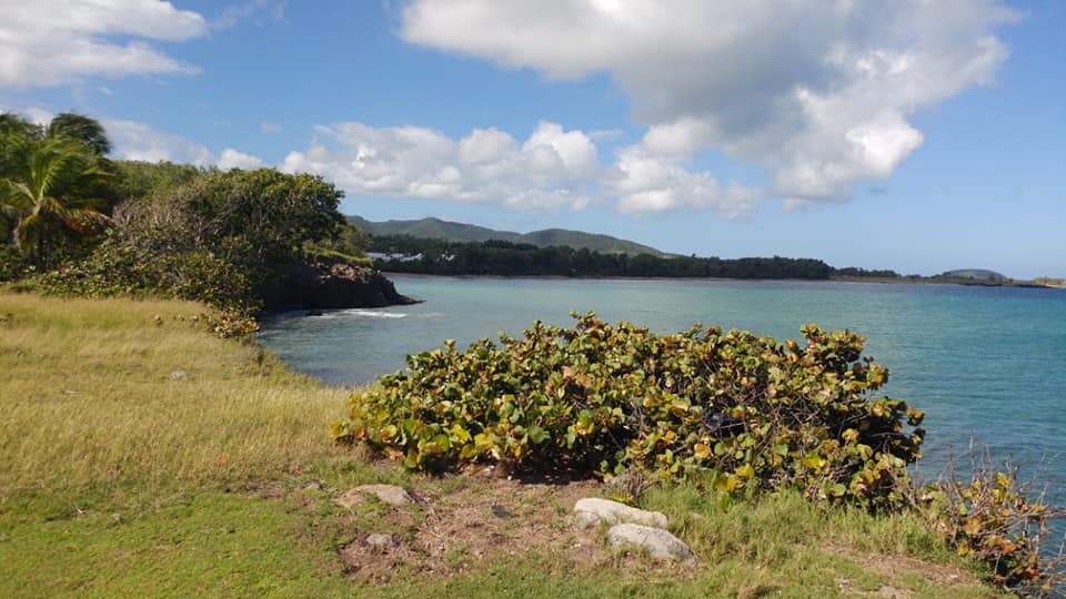 Nettoyage De La Plage De St Felix