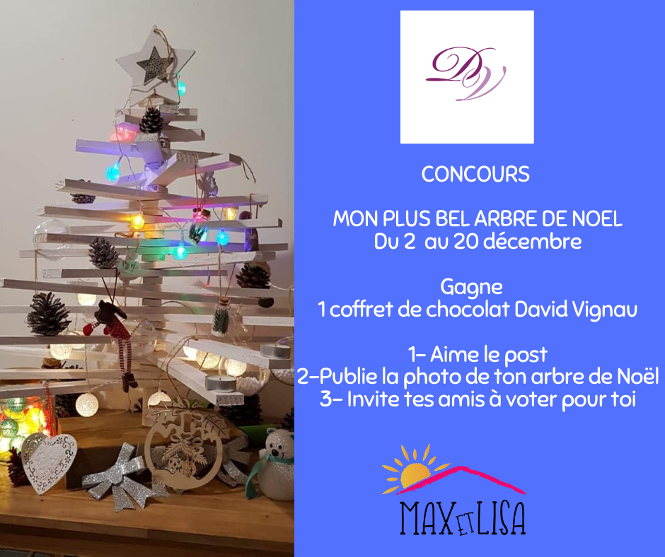 Quel est votre arbre de Noël ?