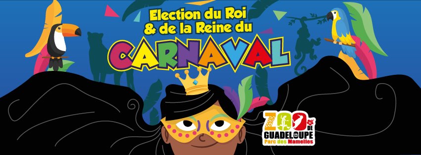 Le Zoo Fait Son Carnaval !