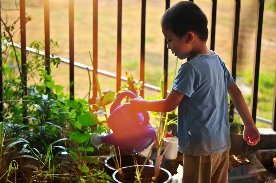 Atelier Jardinage Enfant Caribplantes