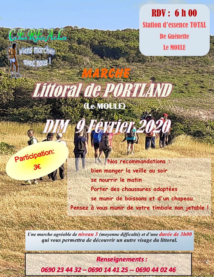 Littoral de Porland