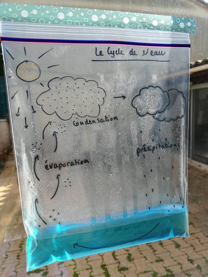 Idée du jour : LE CYCLE DE L’EAU