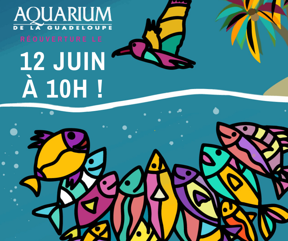 Réouverture de l’Aquarium