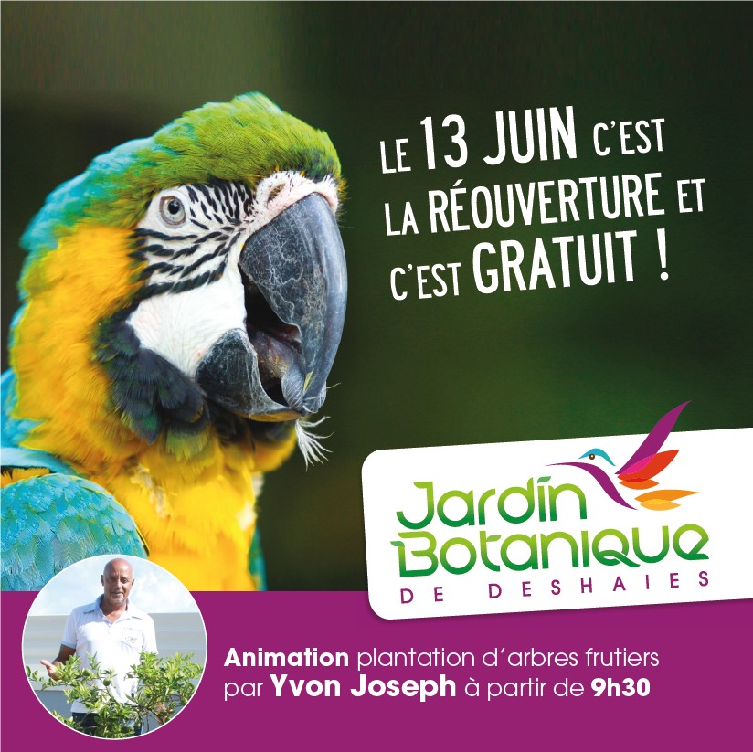 Réouverture du jardin Botanique et c’est gratuit le 13 juin