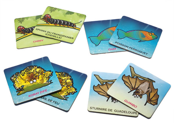 Mémo : Animaux de Guadeloupe – Image 3