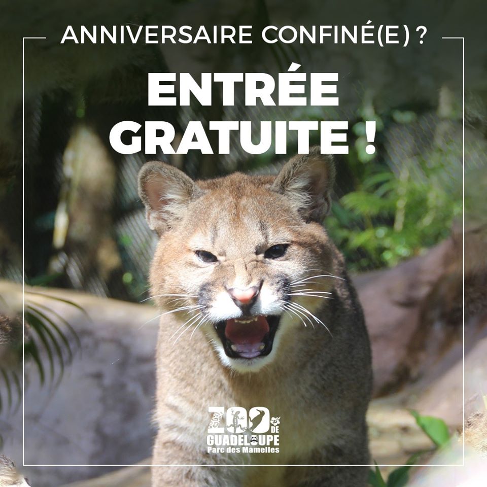 RDV AU ZOO