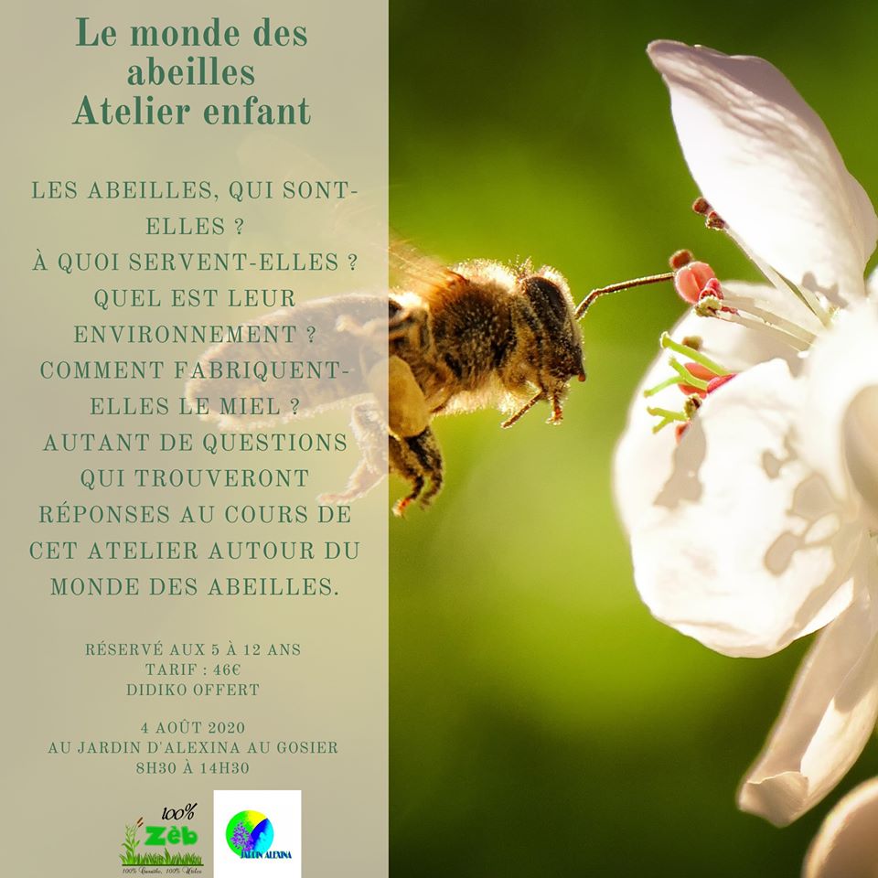 Gosier -Le monde des abeilles – 5/12 ans