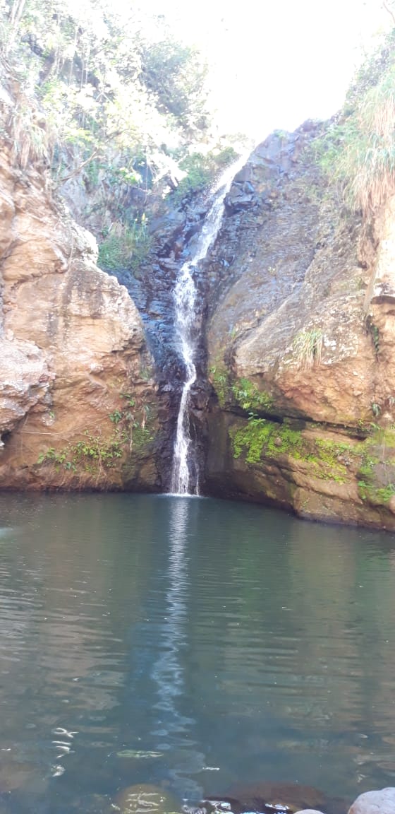 Des roches gravées à la grande rivière de Vieux Habitants