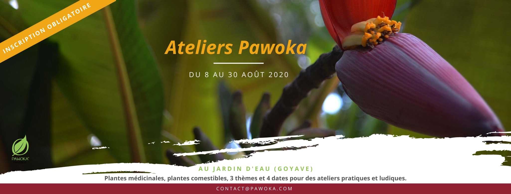ATELIERS PAWOKA VACANCES 2020