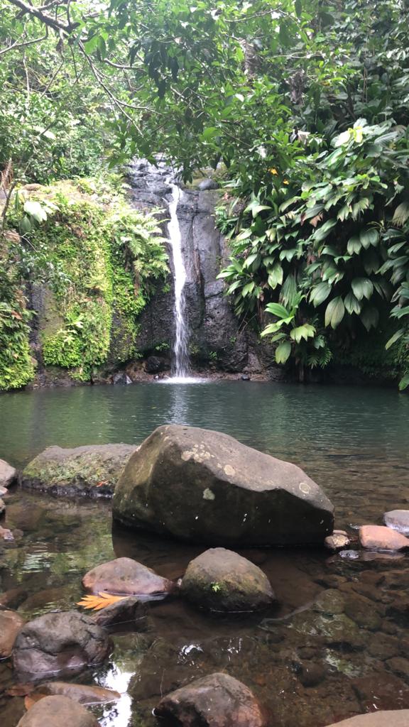 La cascade Bis à Sainte Rose , verdure et fraîcheur au rdv !