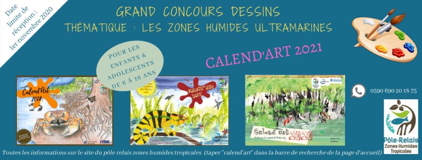 Concours de dessins – 6/16 ans « Les zones humides ultramarines »