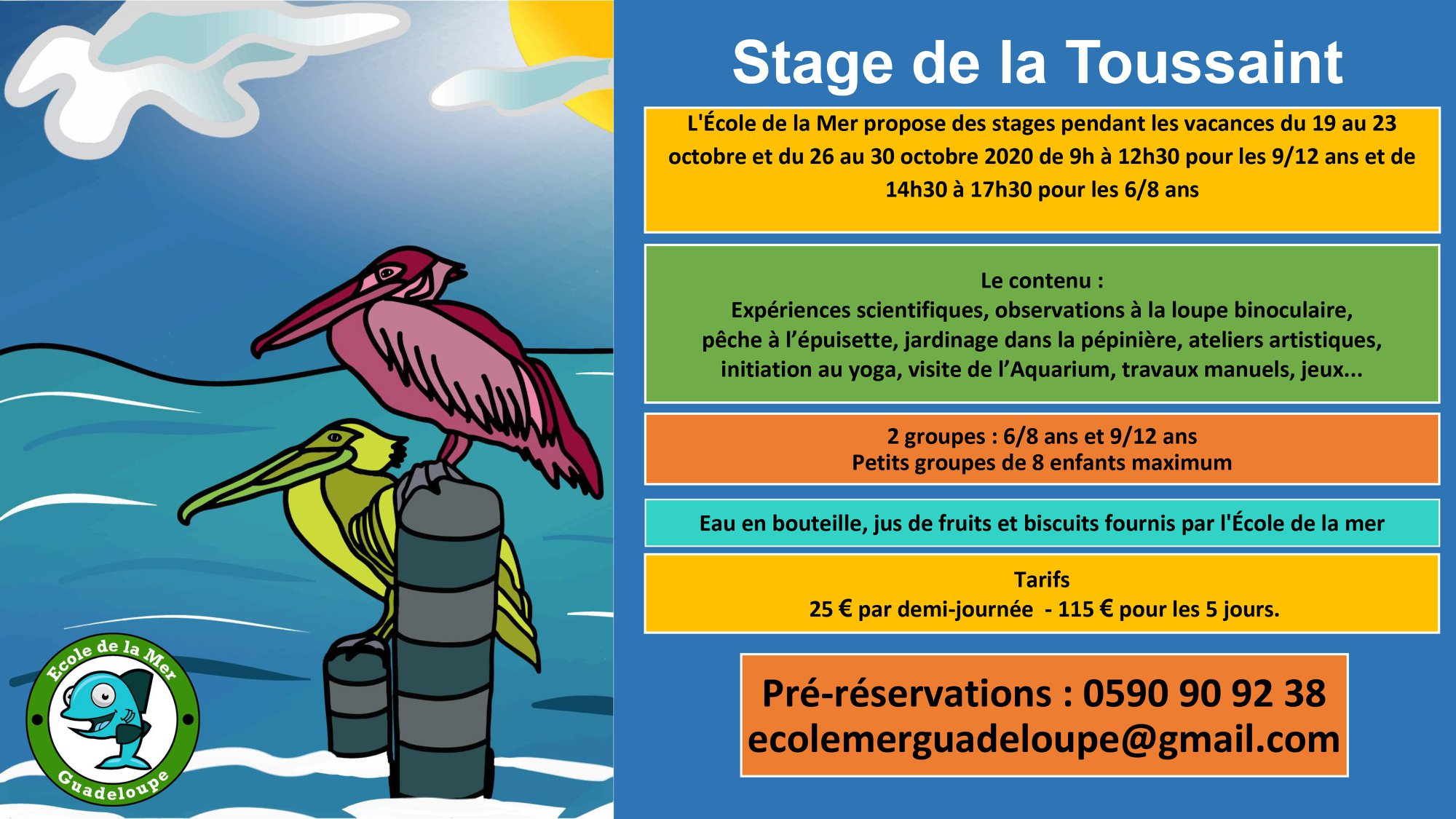 Stages de la Toussaint  – Ecole de la Mer