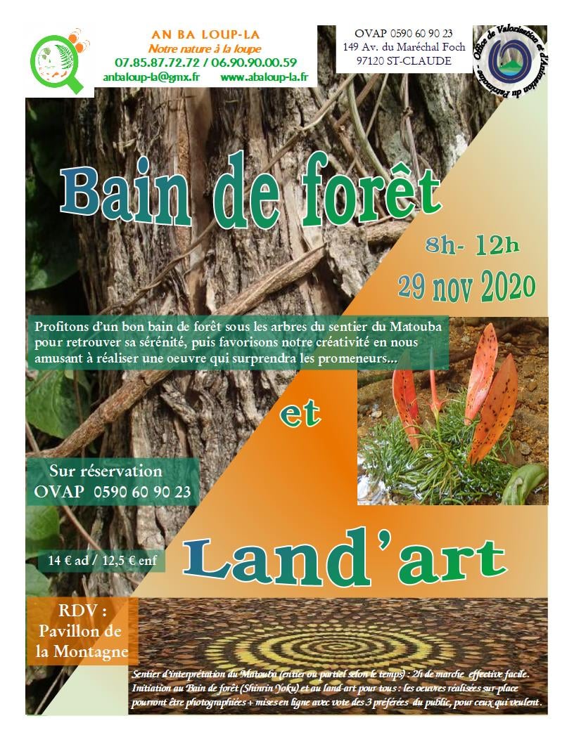 Bain de forêt relaxant et Land’art – Matouba