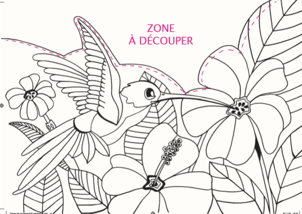 Mon cahier de coloriage animé - 4/8 ans - Nature & Biodiversité – Image 8