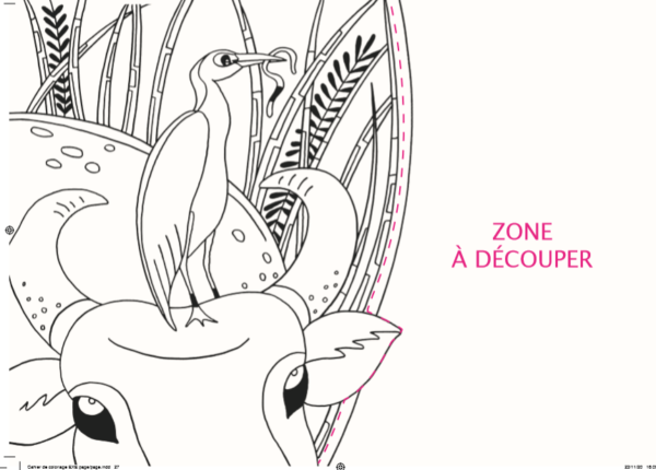 Mon cahier de coloriage animé - 4/8 ans - Nature & Biodiversité – Image 5