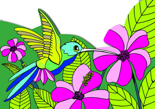 Mon cahier de coloriage animé - 4/8 ans - Nature & Biodiversité – Image 3