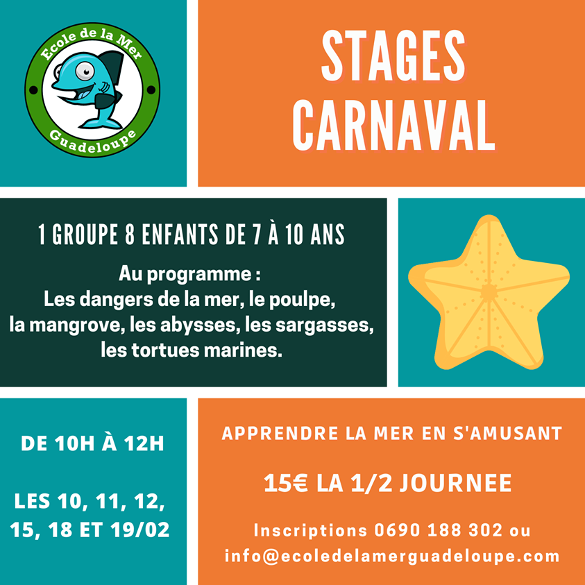Vacances de carnaval – Ecole de la mer-Gosier
