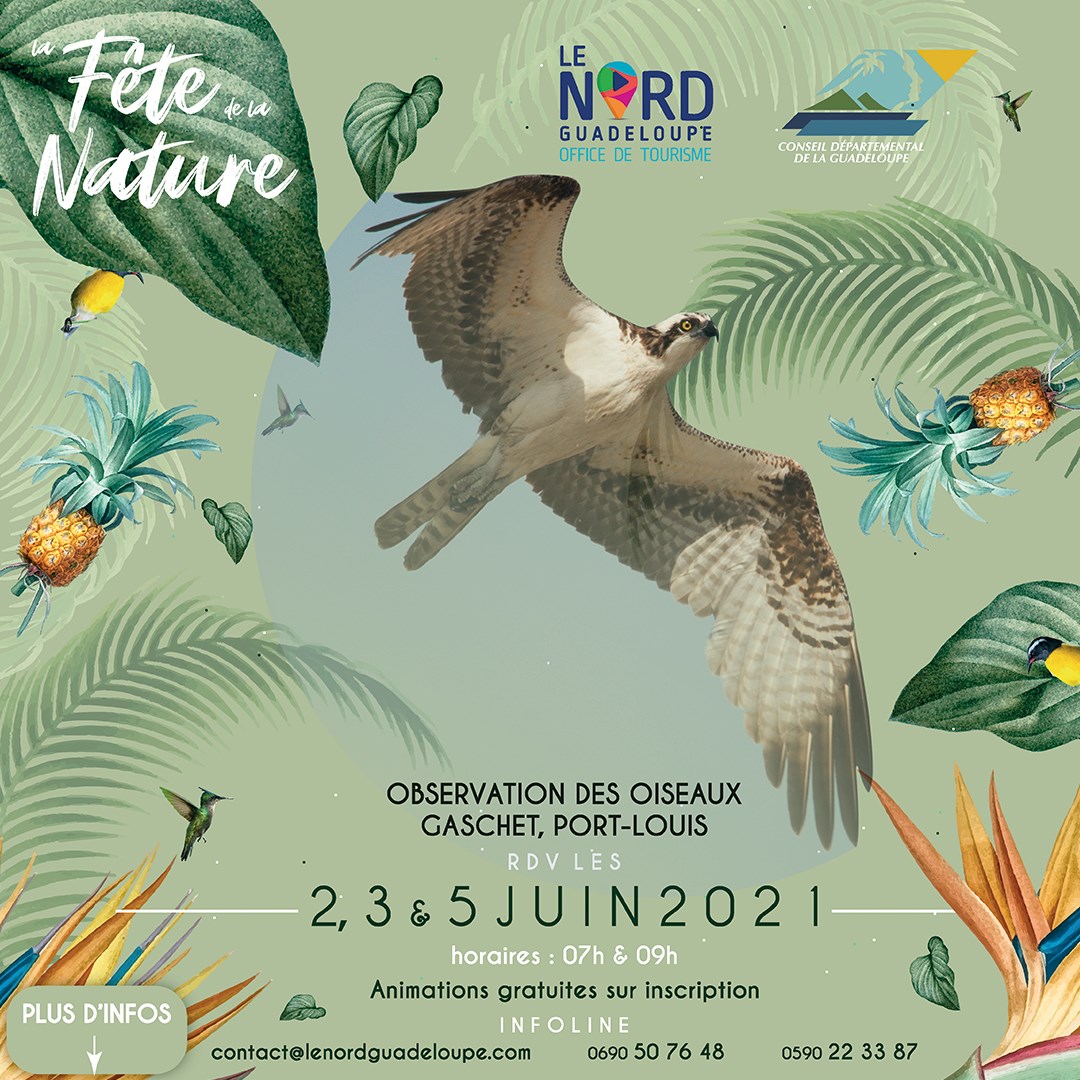 Fête de la nature