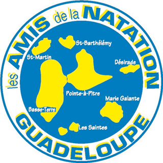 Stage de Juillet – Les amis de la Natation