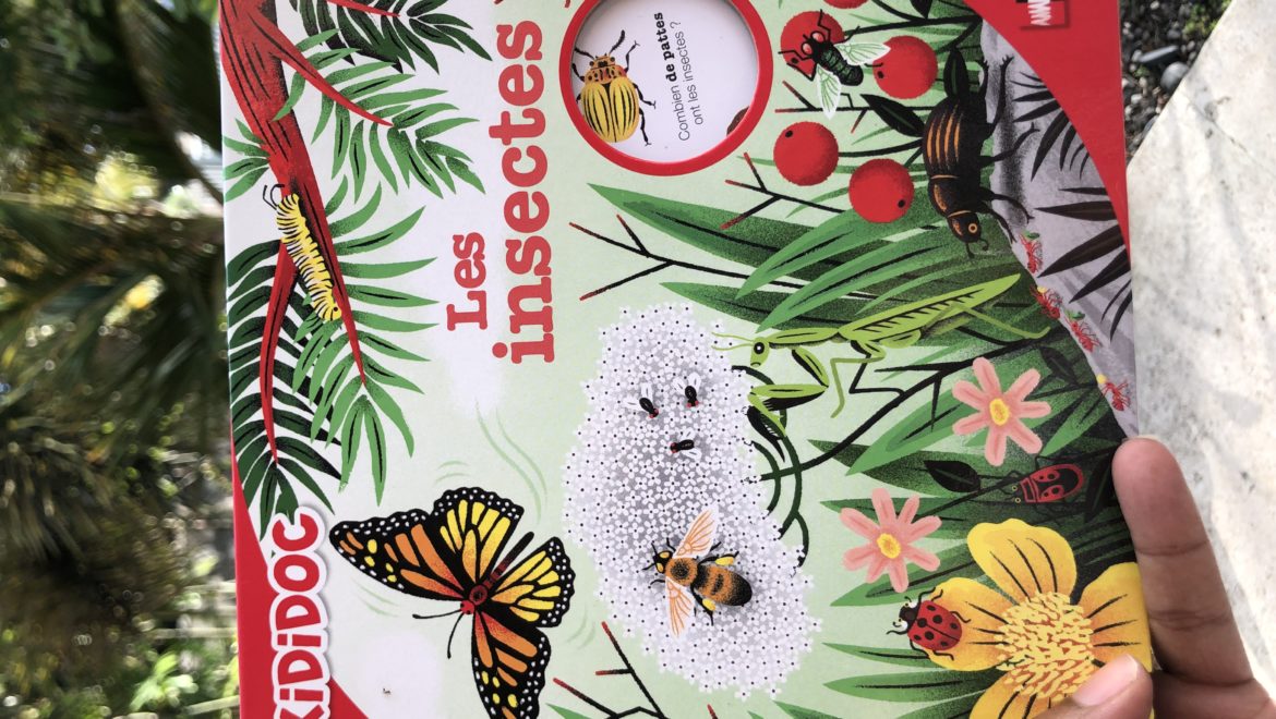 Les insectes –  Un livre animé pour les enfants curieux