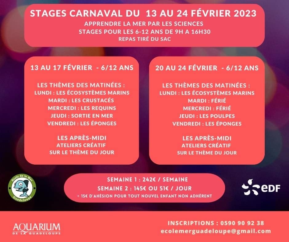 Vacances de carnaval – Gosier