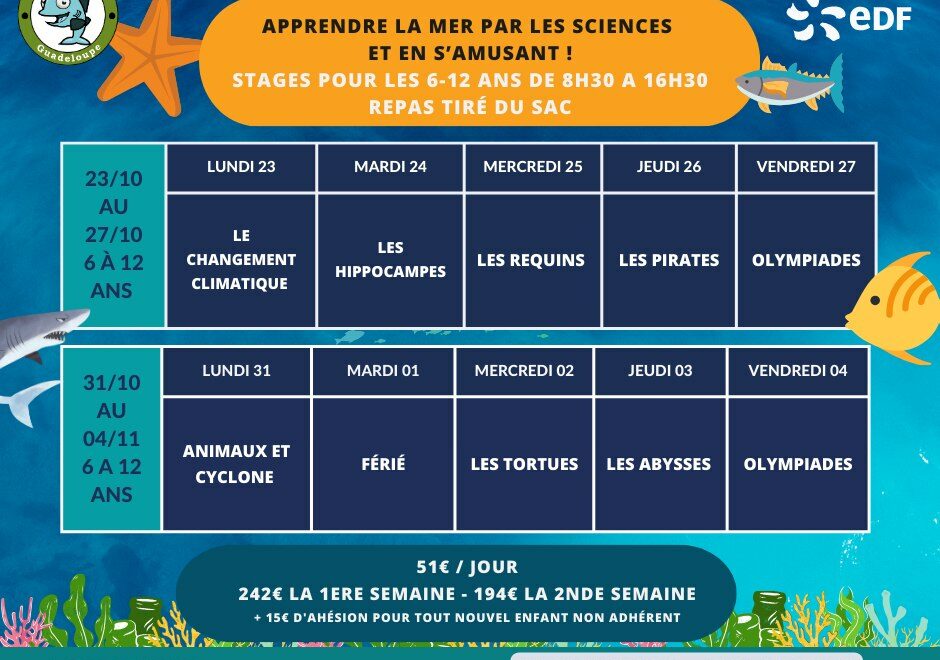 Ecole-de-la-mer.jpg