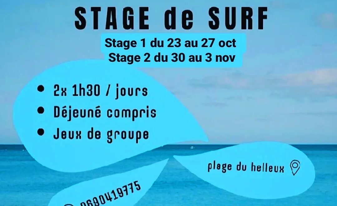 KAZA-SURF.jpg