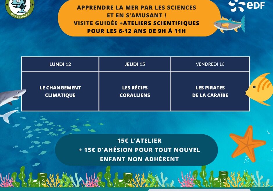 ecole-de-la-mer.jpg